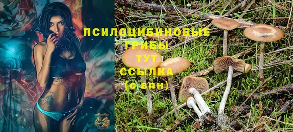 трава Мегион
